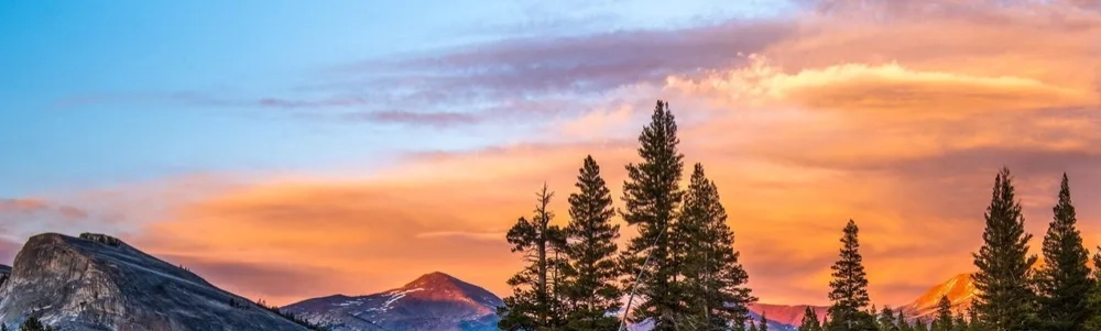 User banner image